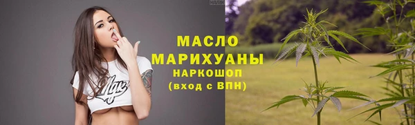 шишки Сосновый Бор