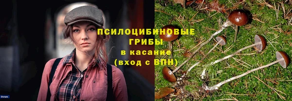 дживик Медвежьегорск