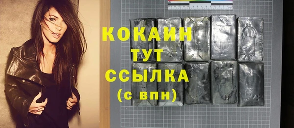 твердый Мегион