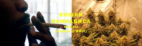 стафф Михайловка