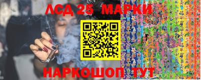 амфетамин Гатчина