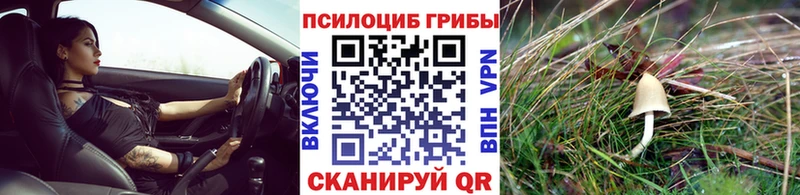 Галлюциногенные грибы GOLDEN TEACHER  где купить наркотик  Морозовск 